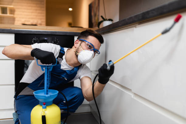 Professional Pest Control in Thorofare, NJ