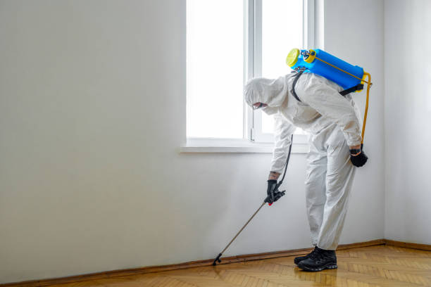Best Bed Bug Extermination  in Thorofare, NJ