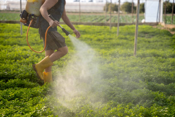 Best Insect Control  in Thorofare, NJ