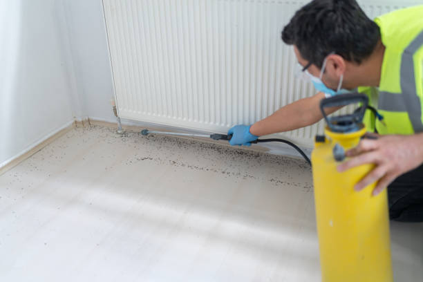Best Best Pest Control Companies  in Thorofare, NJ