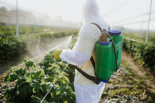 Trusted Thorofare, NJ Pest Control Experts